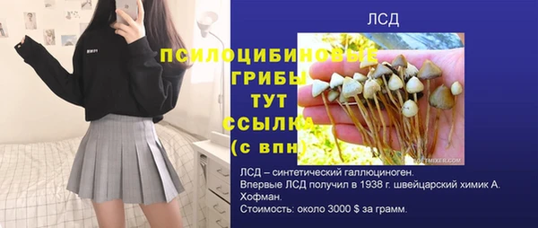сатива Алексеевка