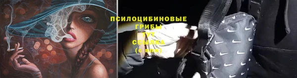 сатива Алексин