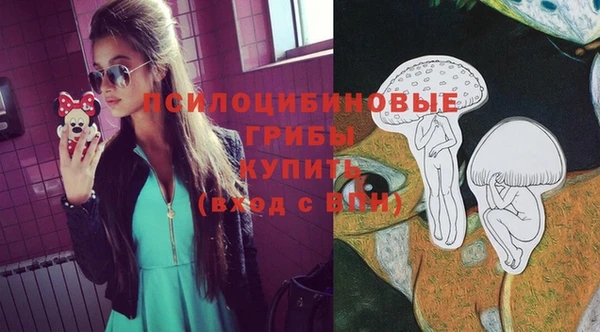 мдпв Алзамай