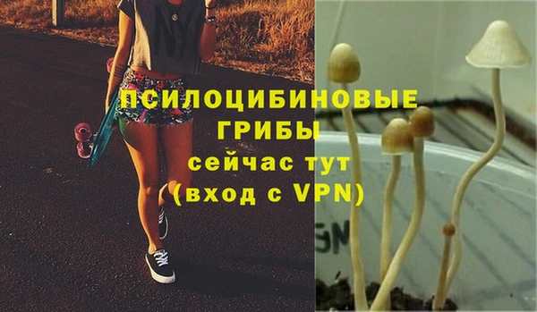 сатива Алексеевка