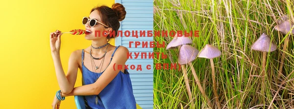 сатива Алексин