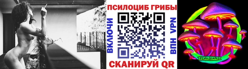 Псилоцибиновые грибы Cubensis shop телеграм Новодвинск